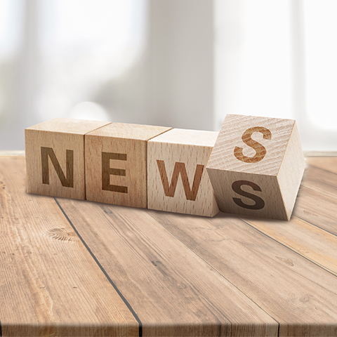 簡述園林景觀雕塑的應用